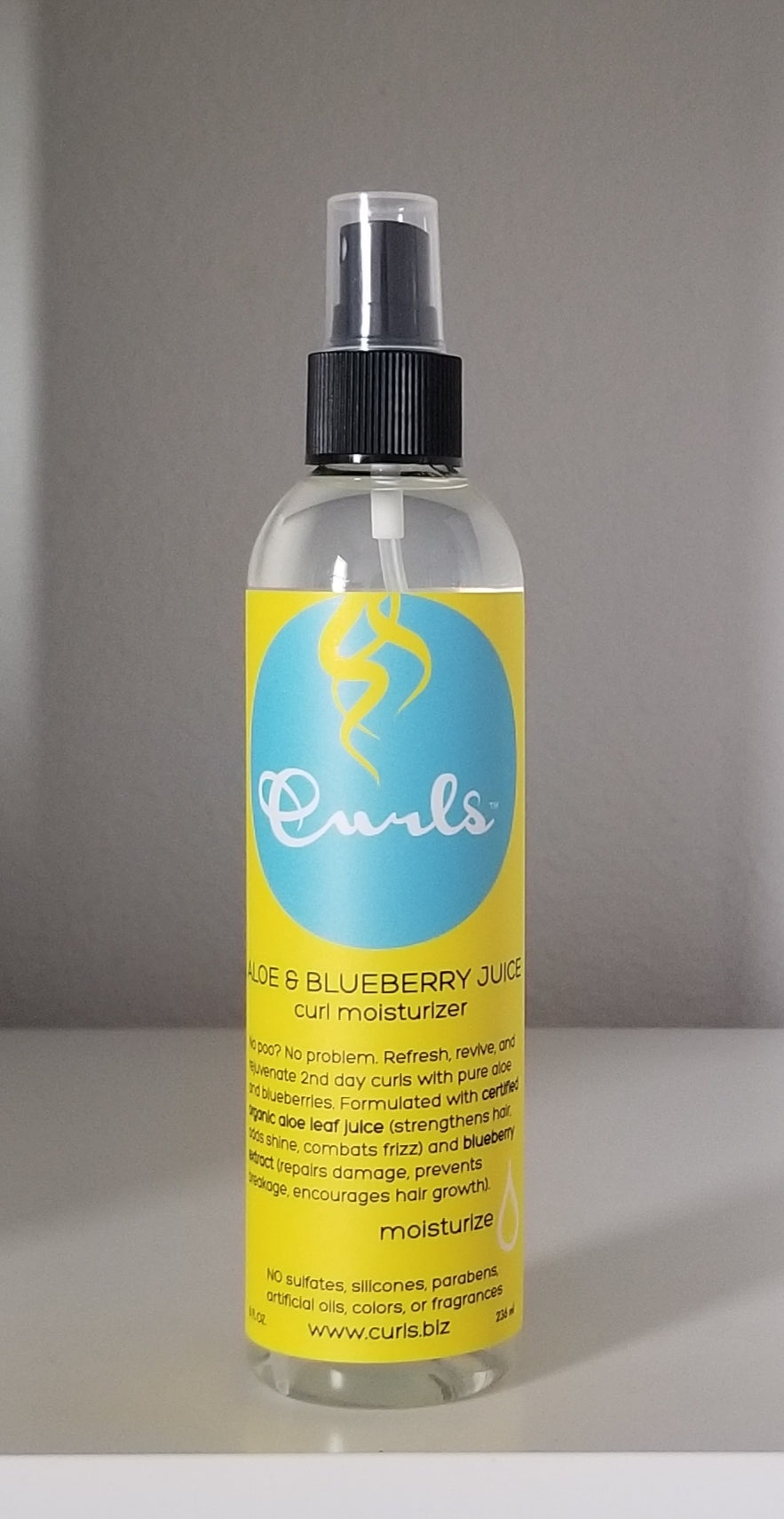 Curls Moisturizer Aloe & Bluberry